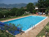 The pool The pool
