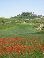 Castelluccio Castelluccio