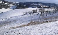 Winter - Fields