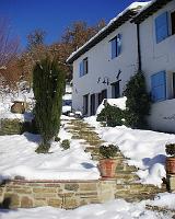 Winter - Steps